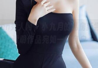 Xiuren秀人网 – 小九月的私房新尝试，透明作品宛如一扇窗户