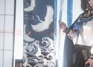 图片再现：椿导游与矢量鱼的无尽曲线